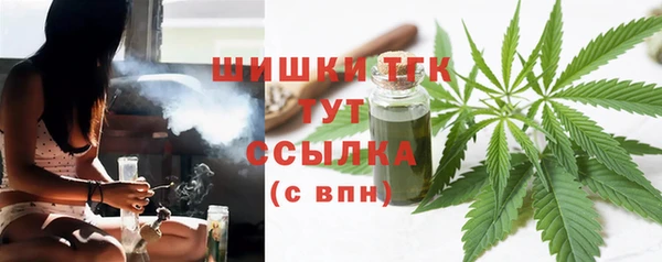 гашик Михайловск
