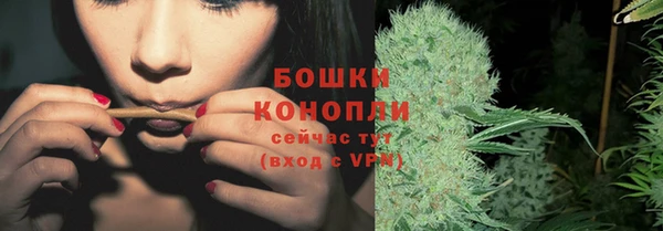 гашик Михайловск