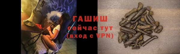 гашик Михайловск