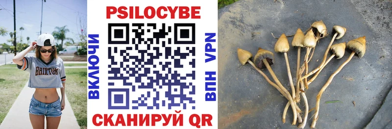 Псилоцибиновые грибы Psilocybe  Кирсанов 