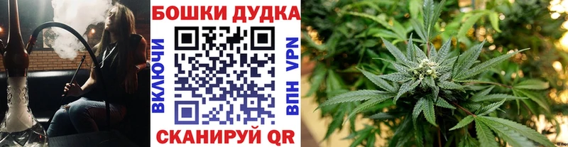 KRAKEN онион  Кирсанов  Шишки марихуана OG Kush 